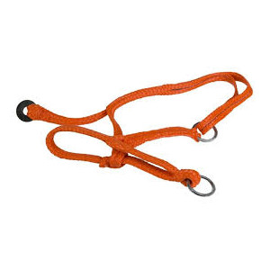 Kantar dla jałówek